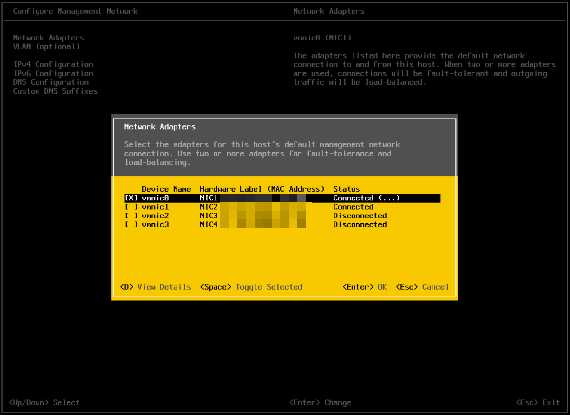 _images/dg-installing-esxi-20.png