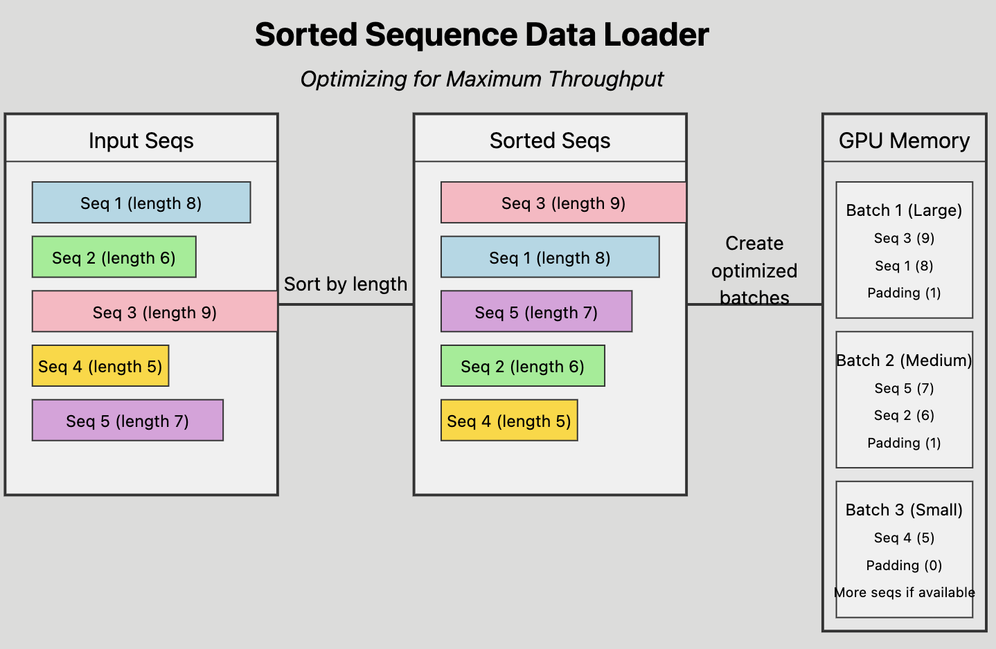 Sorted Sequence Data Loader