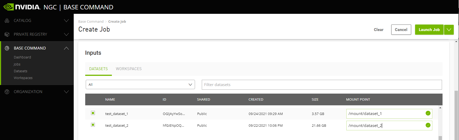 Mounting datasets in a job